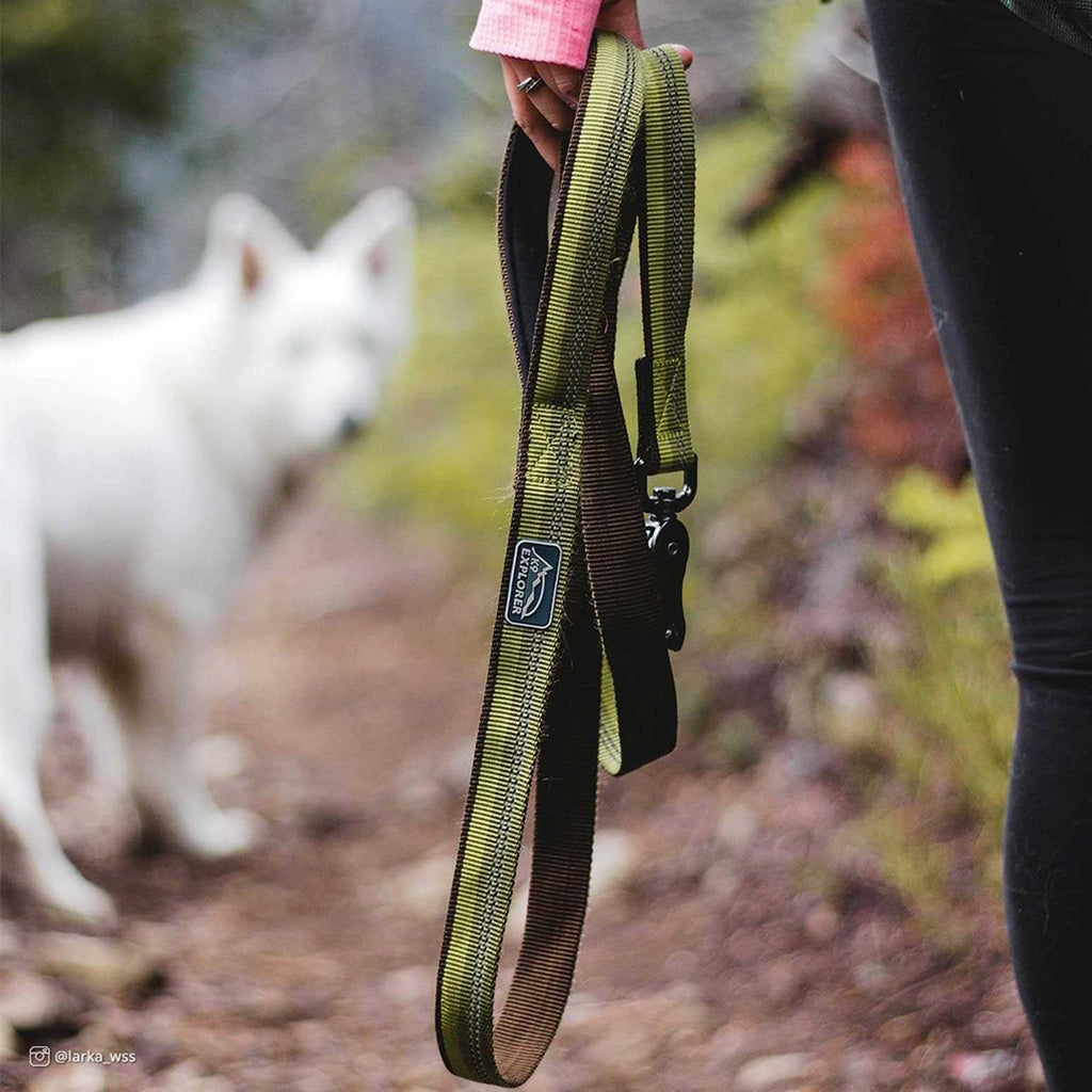 Reflective Leash with Scissor Snap H12754