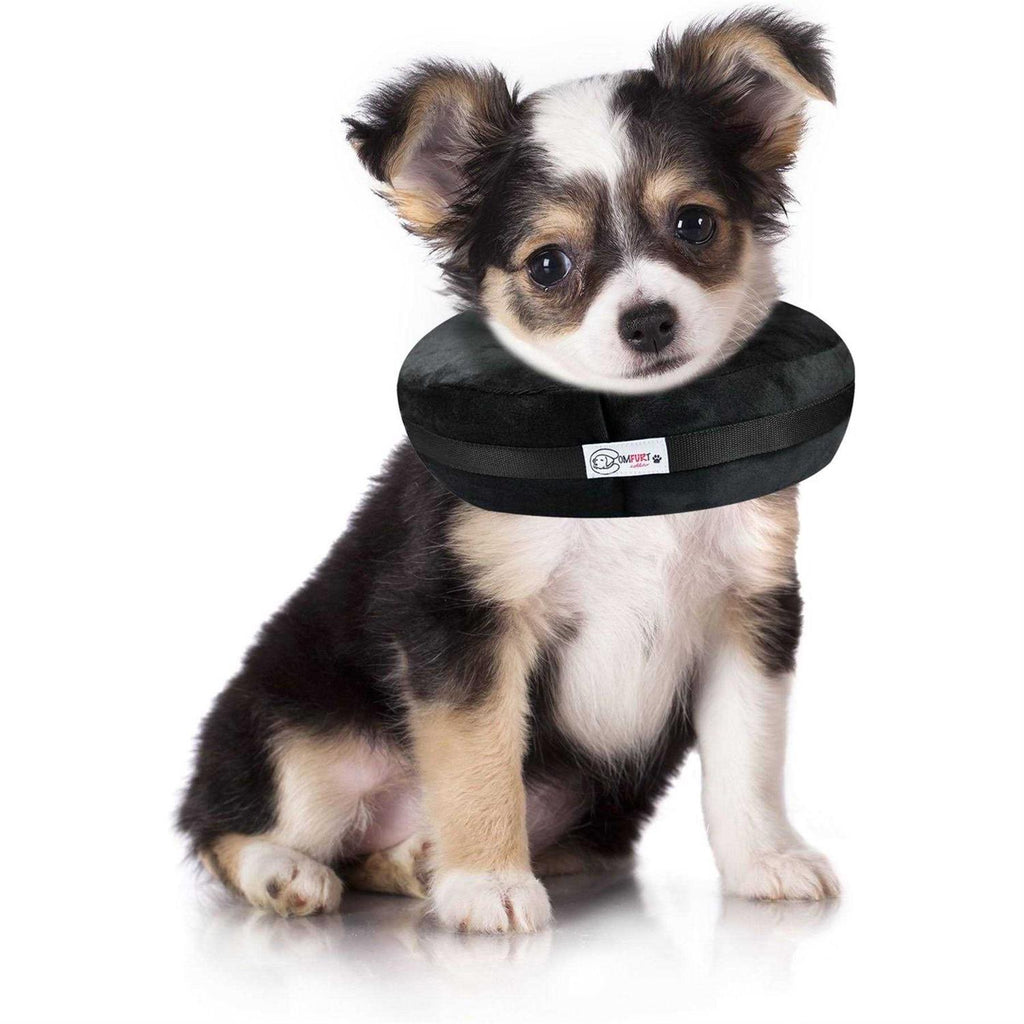 Dog & Cat Recovery Collar W285