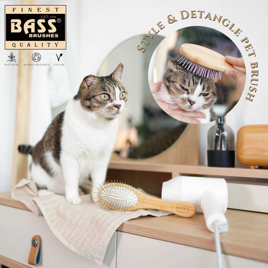 Pet Brush F669096