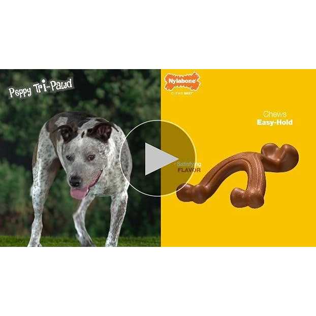Chew Toy & Treat Gift Box L35735