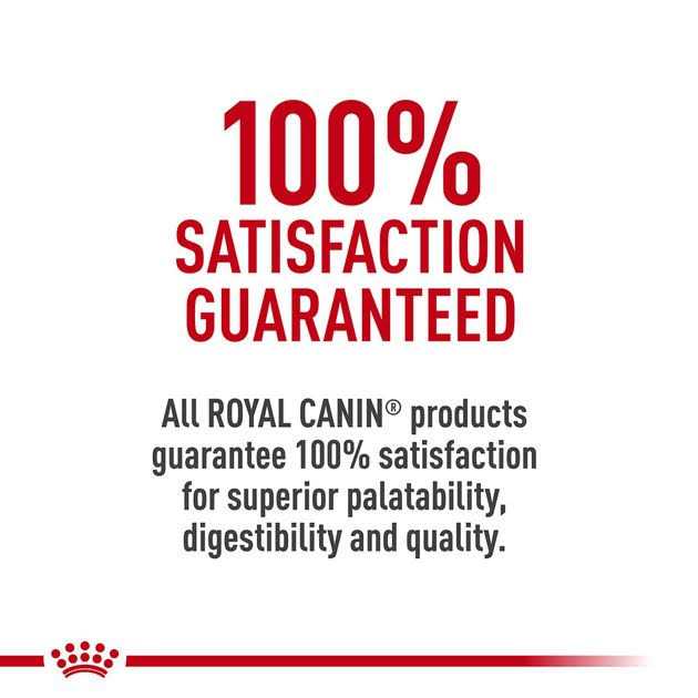 Canned Wet Dog Food A235