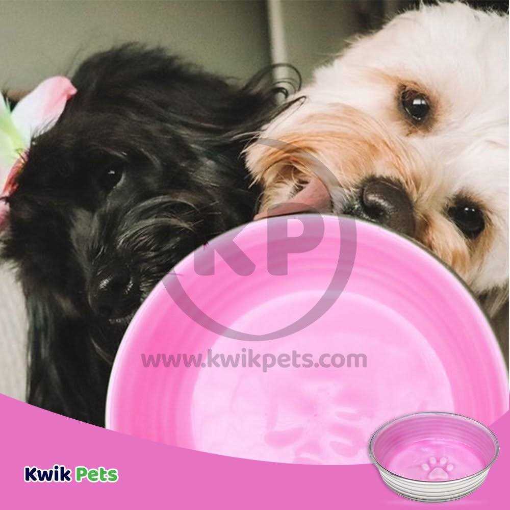 Pet Bowl Q60122