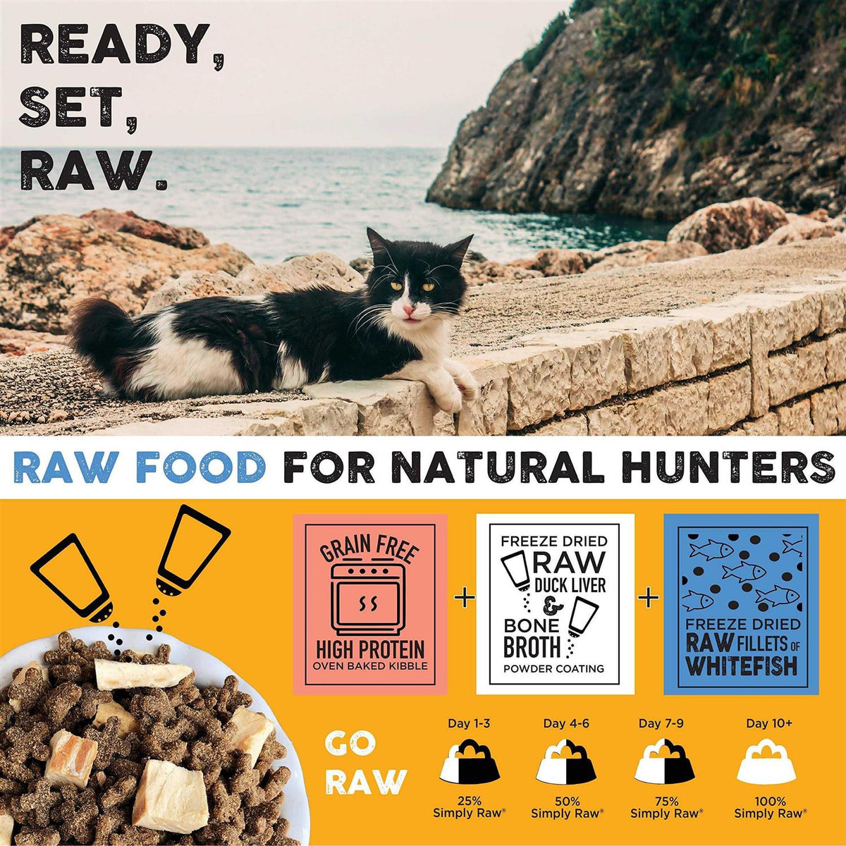 Raw Cat Kibble with Freeze-Dried Whitefish O2303