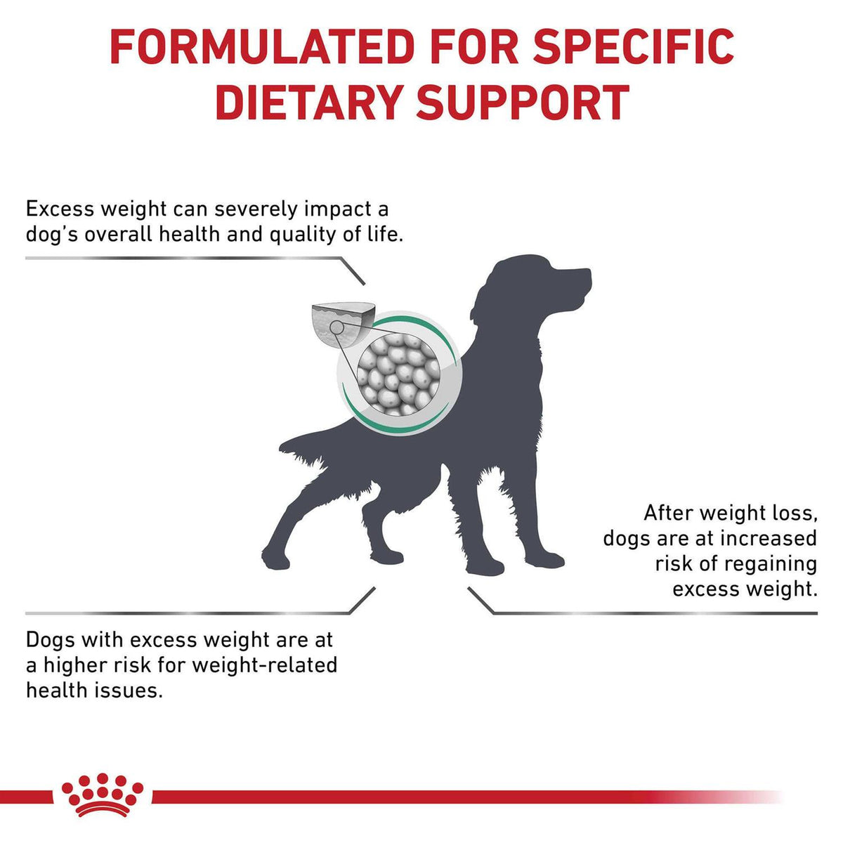 Satiety Support Dry Dog Food U600