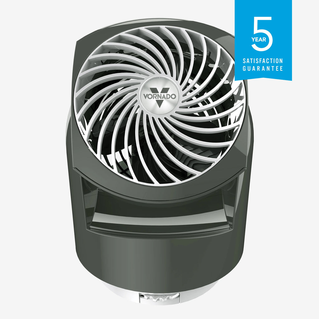 Graphite Gray Oscillating Fan R236