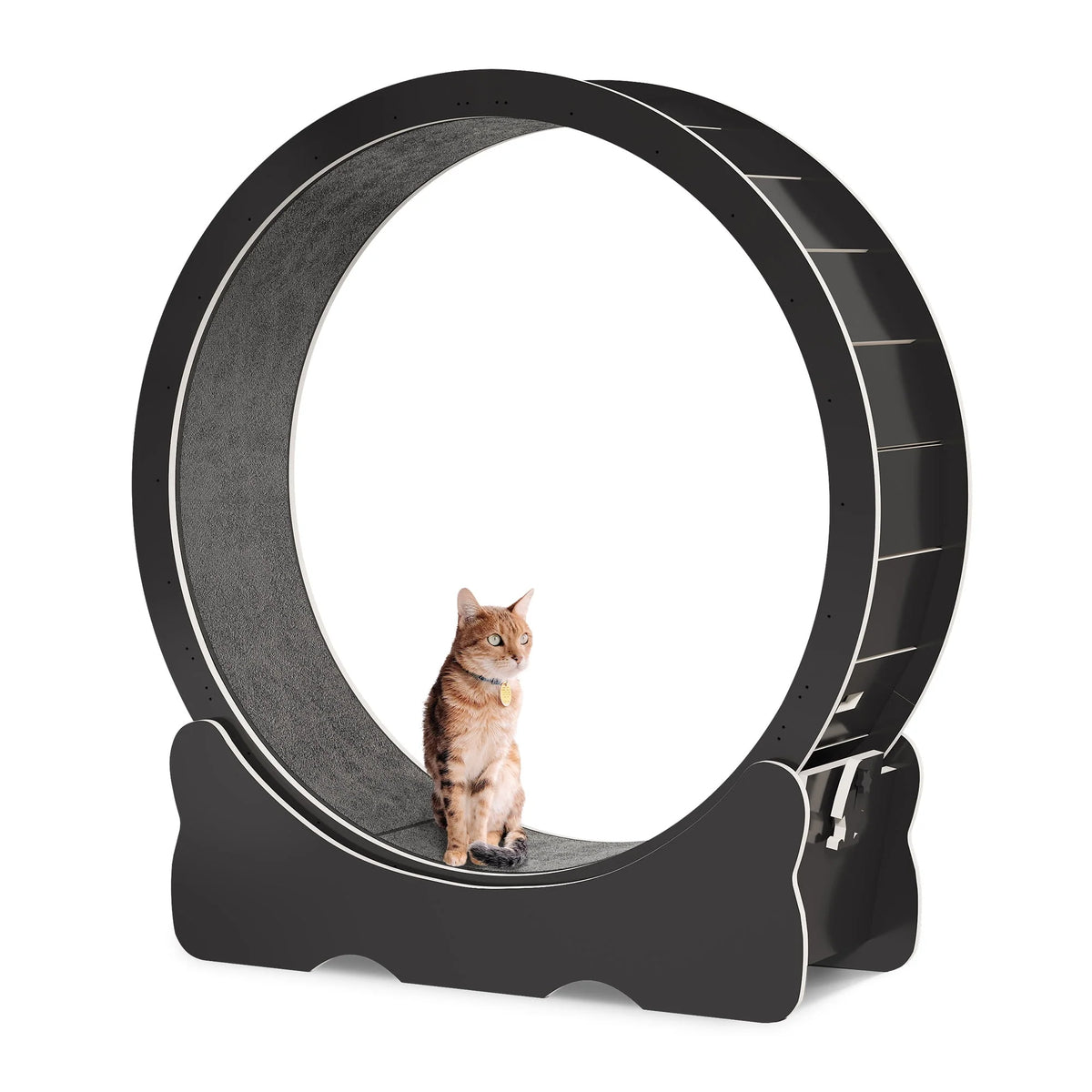 43.3 inch Cat Exercise Wheel with Detachable Carpet T662862
