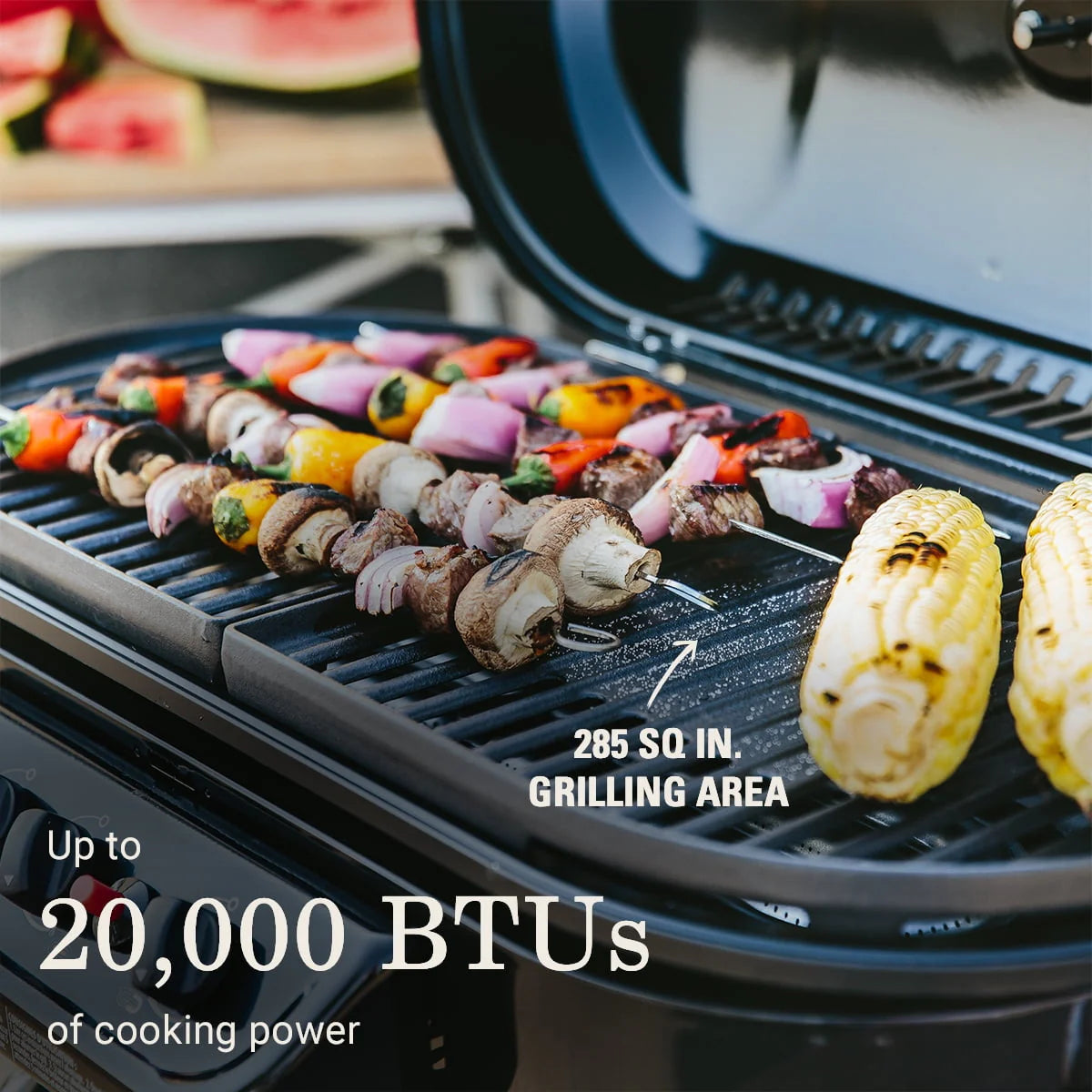 Standup Propane Gas Grill D858