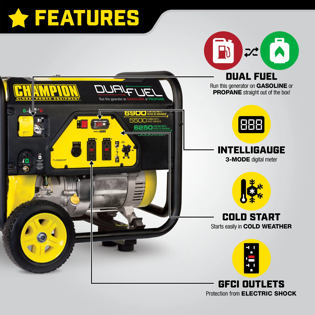 5500 Watt Dual Fuel Portable Generator with Wheel Kit N399039