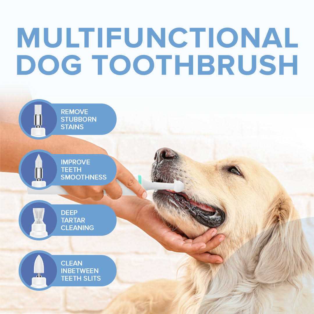 Electric Toothbrush for Dogs with Brush Heads I499033