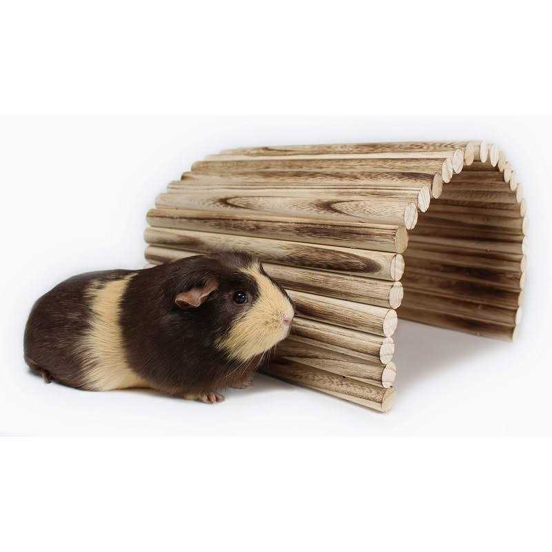 Extra Large Wood House Tunnel Ramp K3538