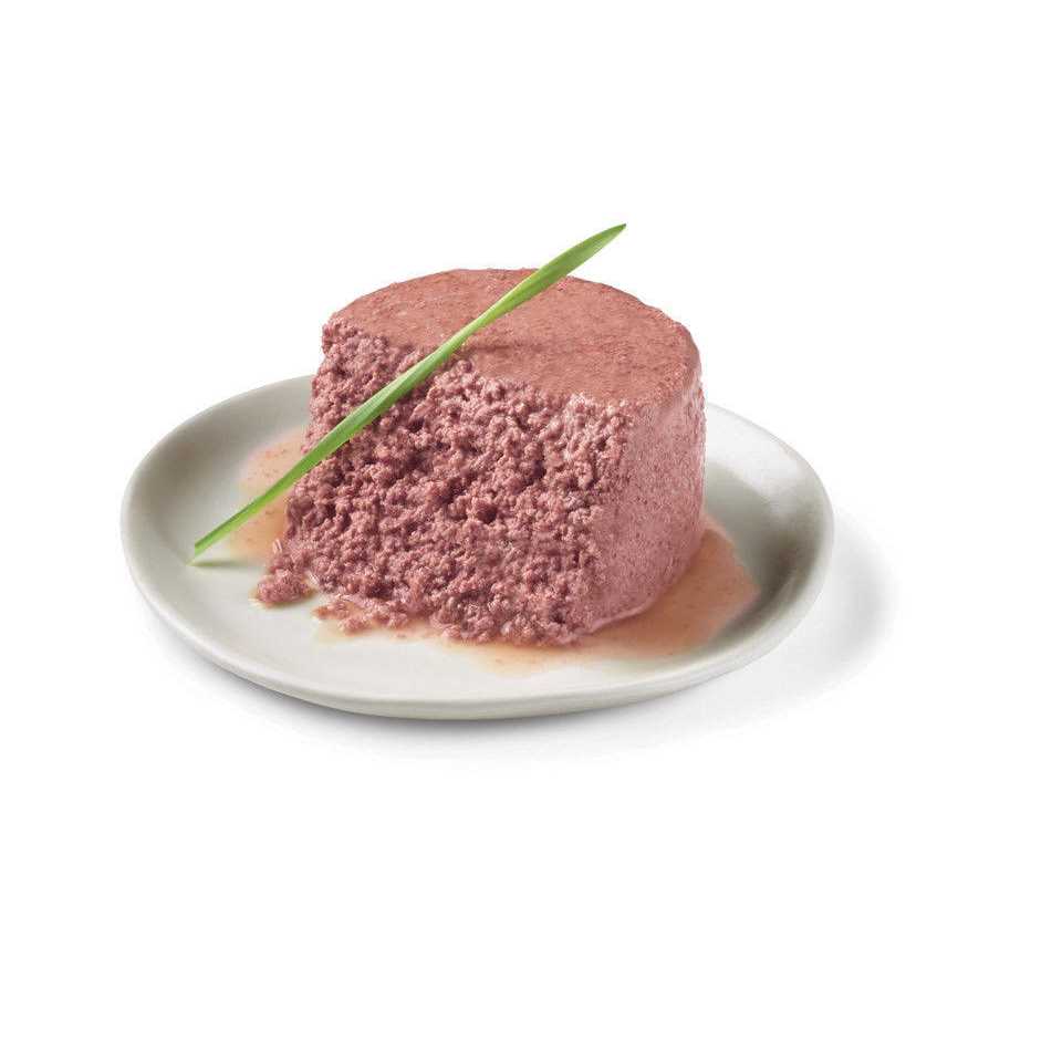 Wet Cat Food Q4029