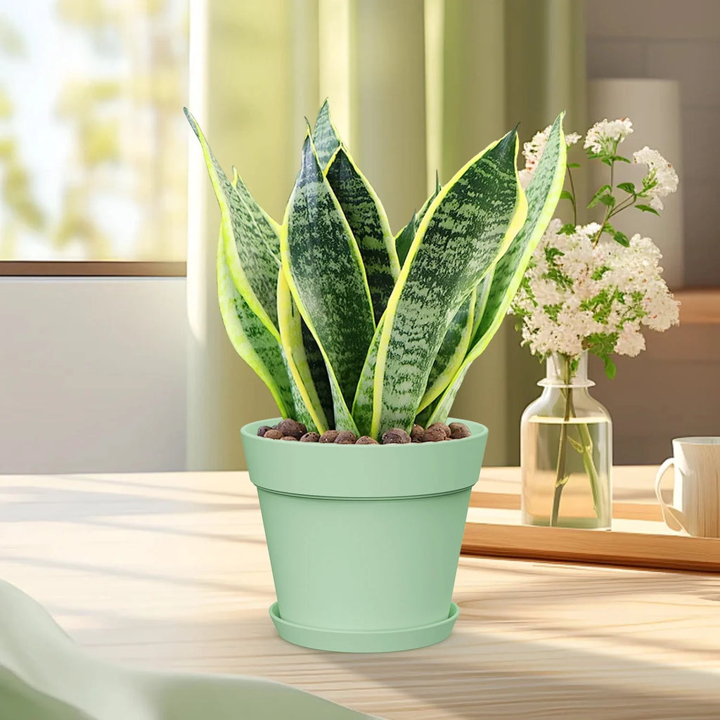 6 Inch Plastic Planters 16 Pack White V2788