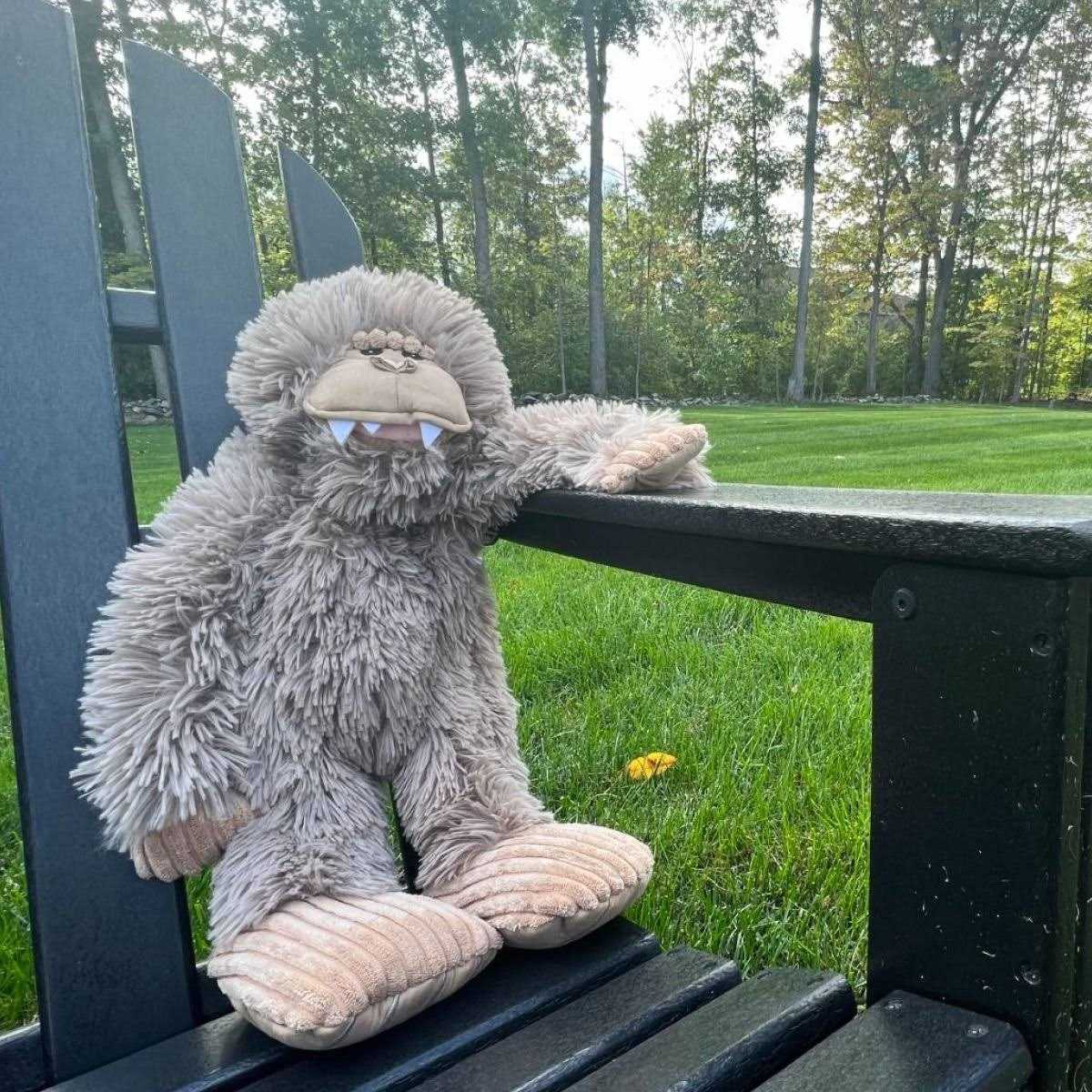 Dog Toy U345331
