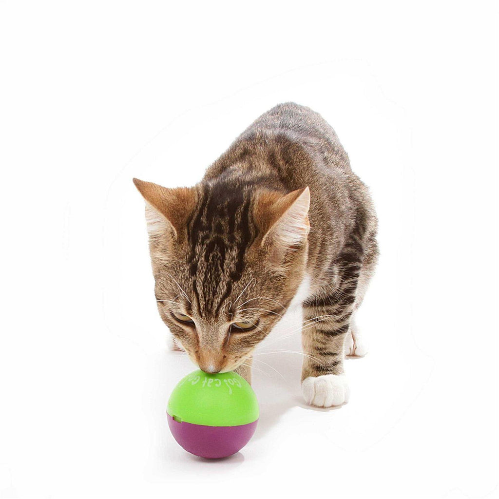 Cat Toy W387
