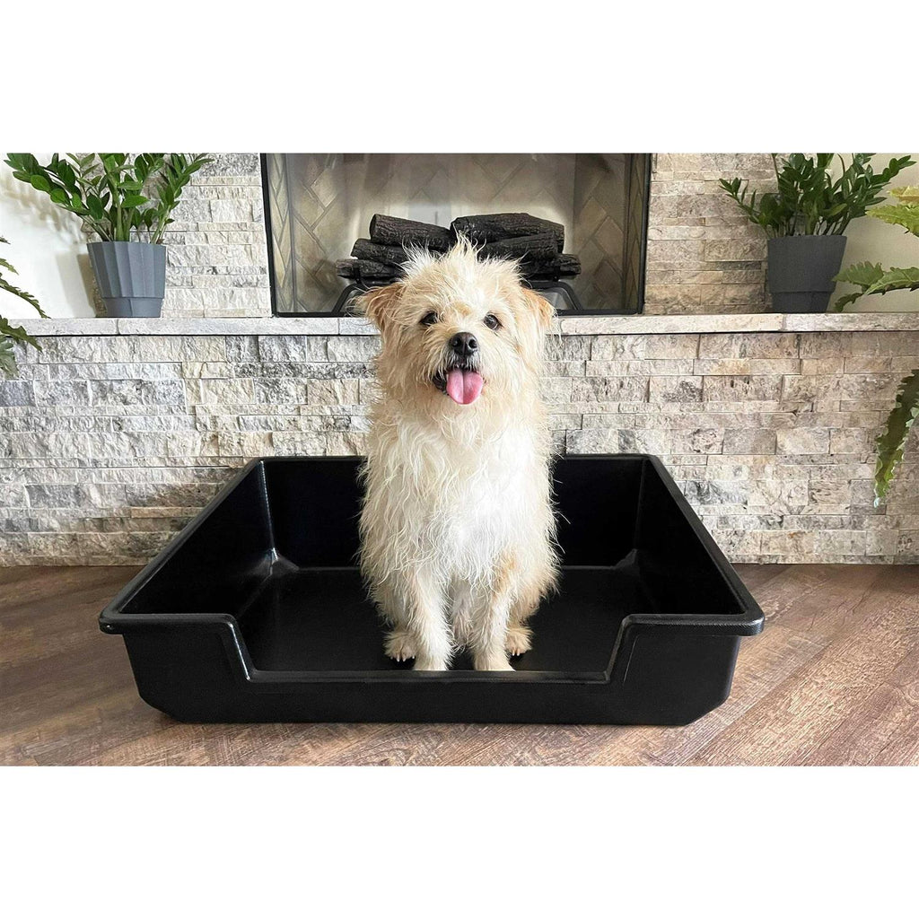 Extra Large Litter Box B975