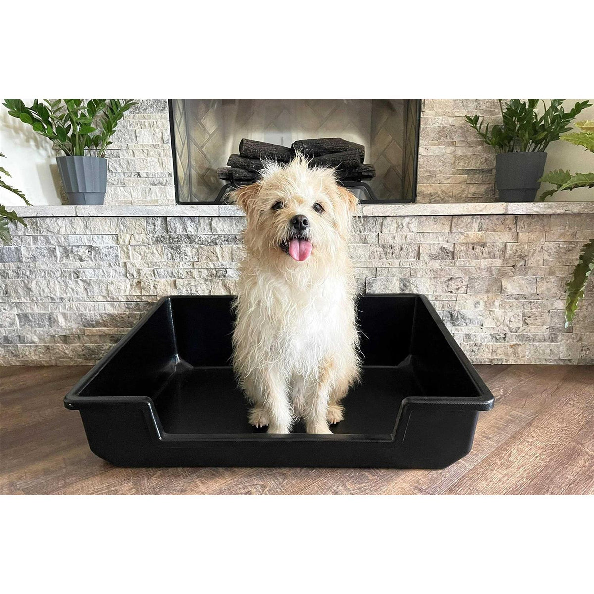Extra Large Litter Box B975