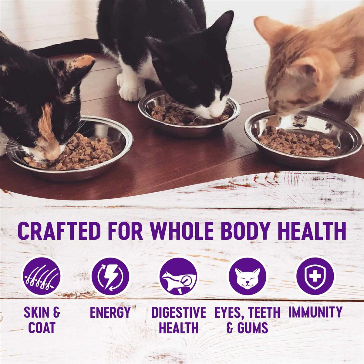 Grain-Free Wet Cat Food Pouch H7229