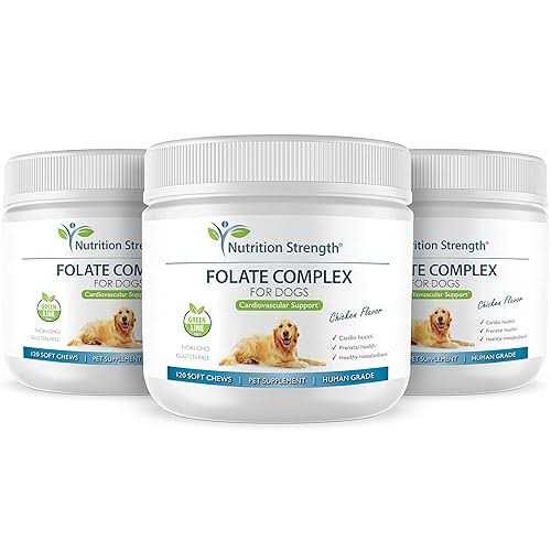 Folate for Dogs B7534