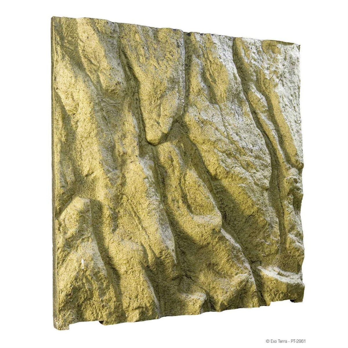 Foam Backgrounds D55644