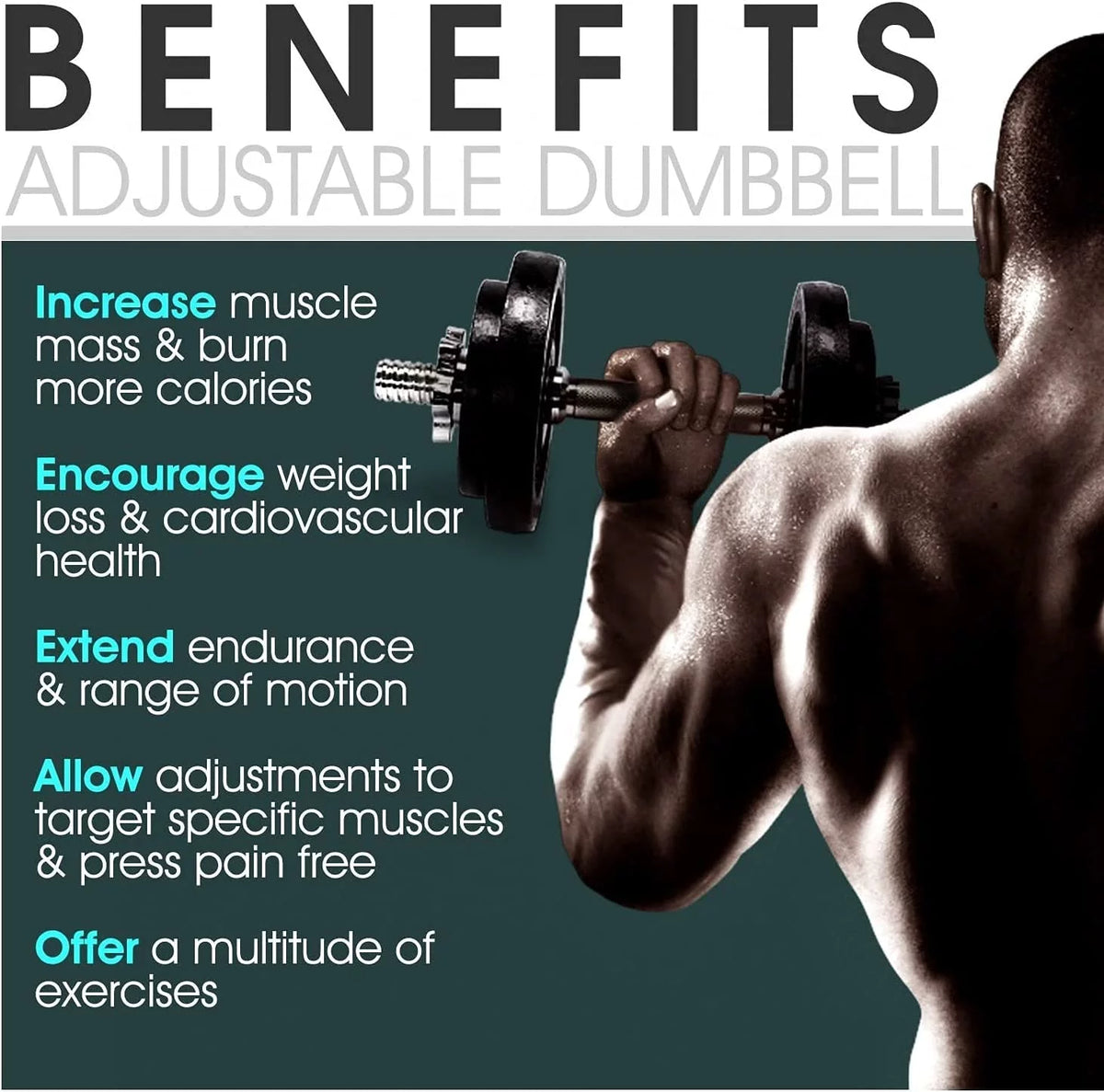 200 lbs Adjustable Cast Iron Dumbbell Set E31587