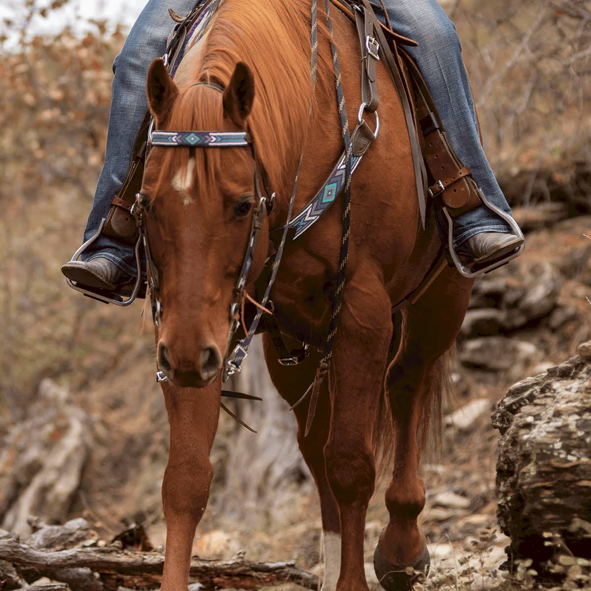 Beaded Ear Headstall H8149