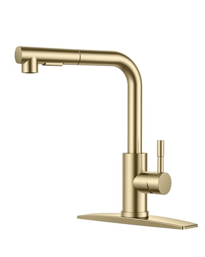 Kitchen Faucet with Pull Down Sprayer Stainless Steel C675