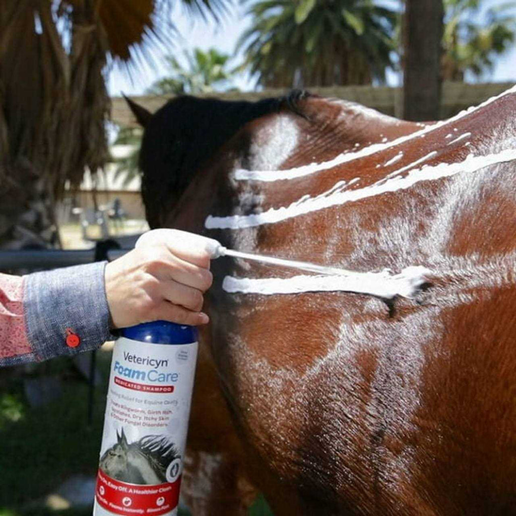 Medicated Equine Shampoo N88929