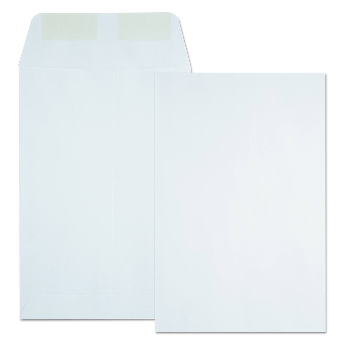 Catalog Envelope, 6 x 9, White N6388