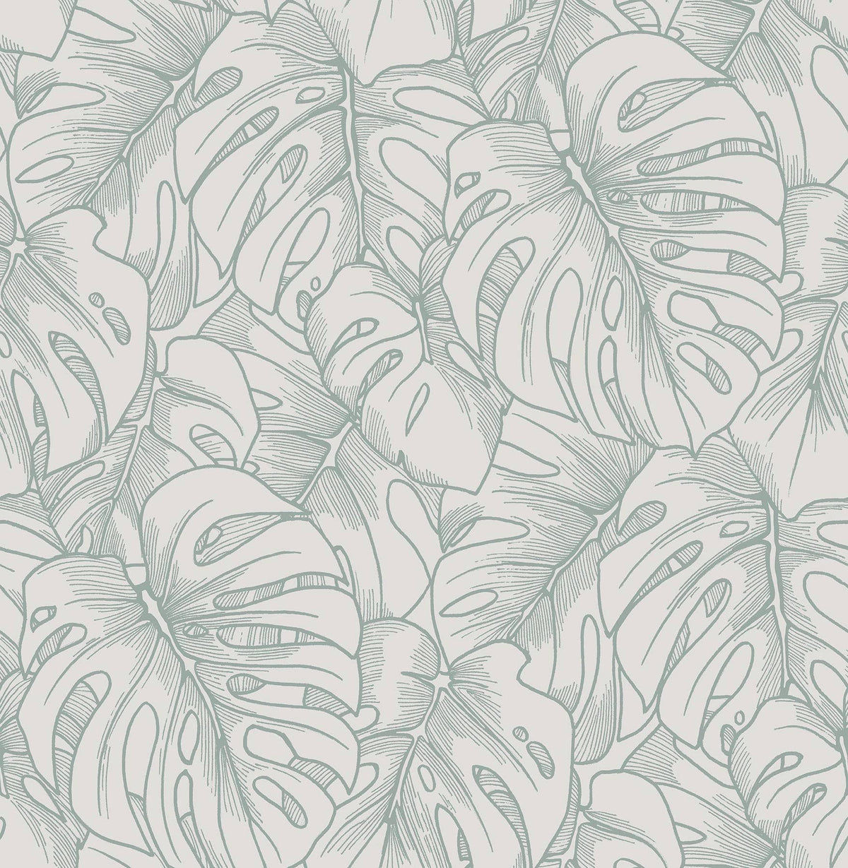 Olive Botanical Wallpaper N974142