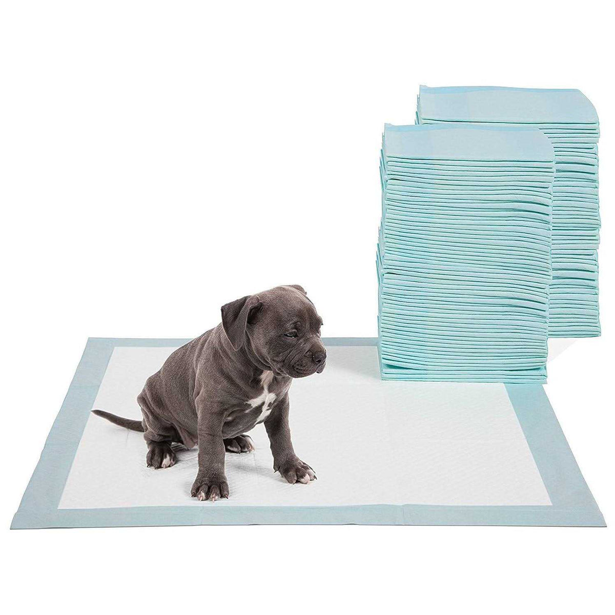Pet Potty Training Pads R74721
