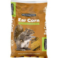 6.5 Lbs. Squirrels Ear Corn Cobs O8066