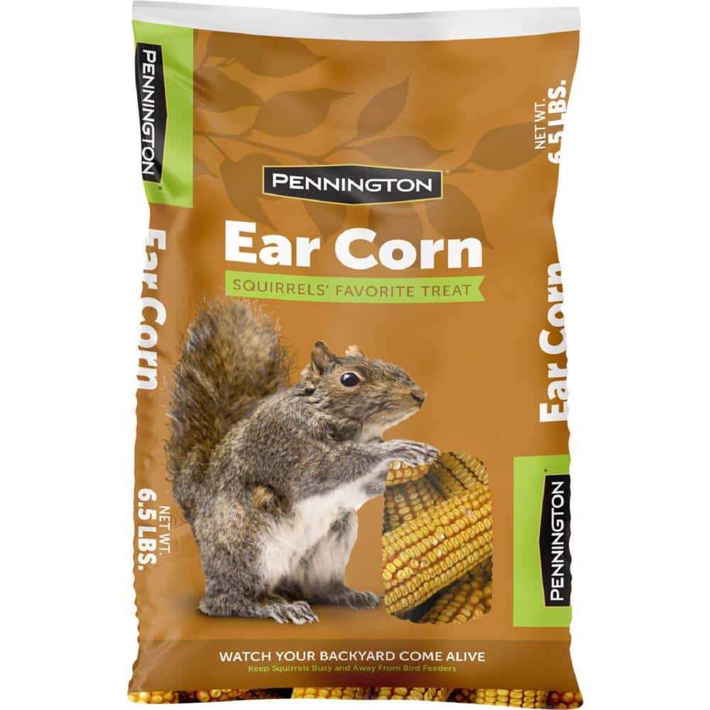 6.5 Lbs. Squirrels Ear Corn Cobs O8066