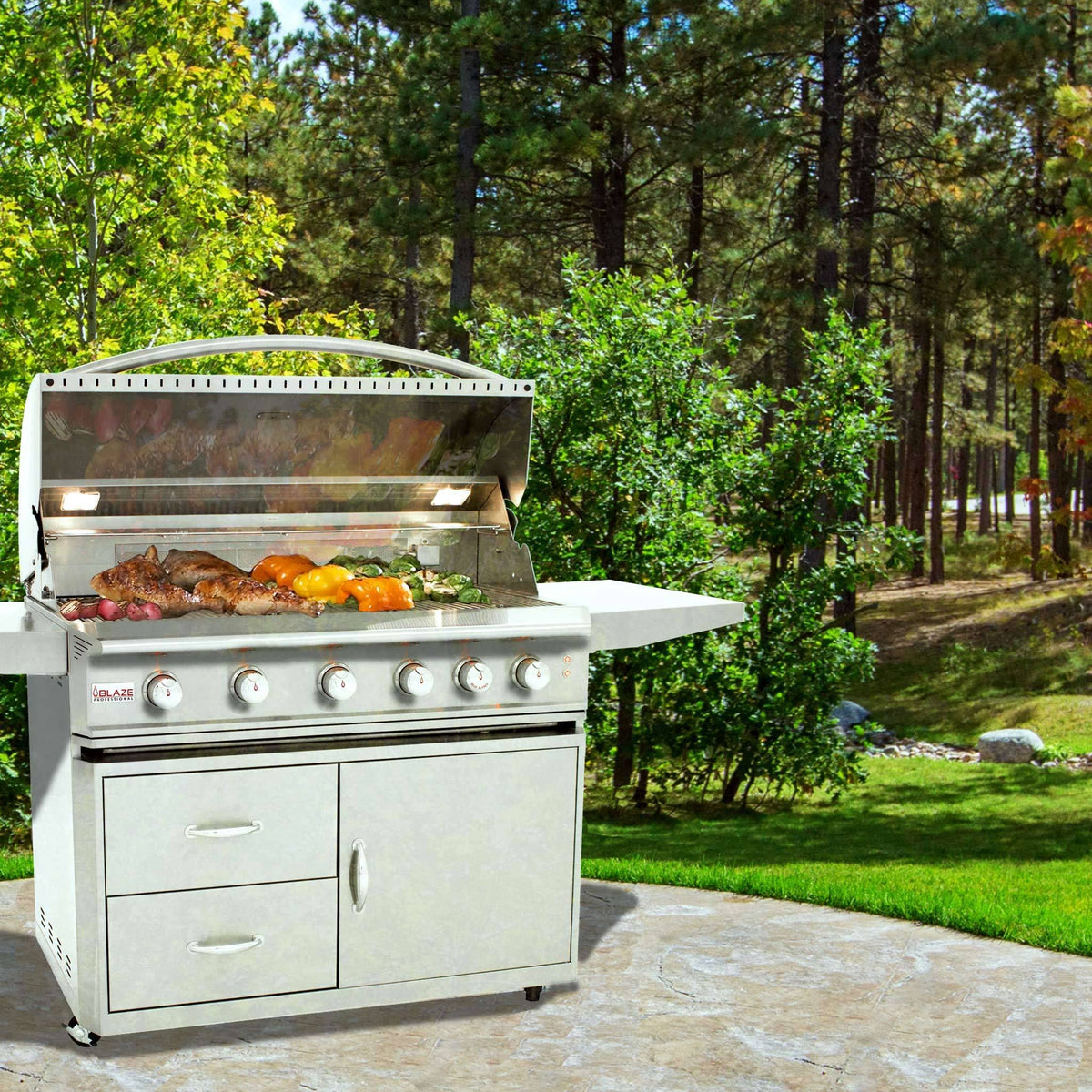 40-Inch 5-Burner Gas Grill Cart R2163
