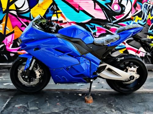 Electric Sport Motorcycle with Automatic Transmission U29488