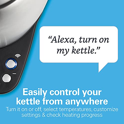 1.7 Liter Stainless Steel Electric Tea Kettle F284