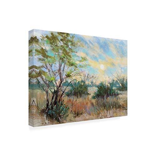 Home Goods U30328