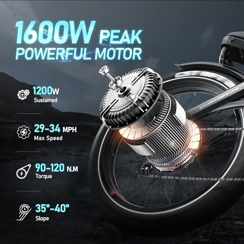 1200W Dual Motor 60Ah Adult Electric Bike with Fat Tire I2009