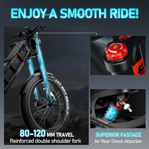1200W Dual Motor 60Ah Adult Electric Bike with Fat Tire I2009