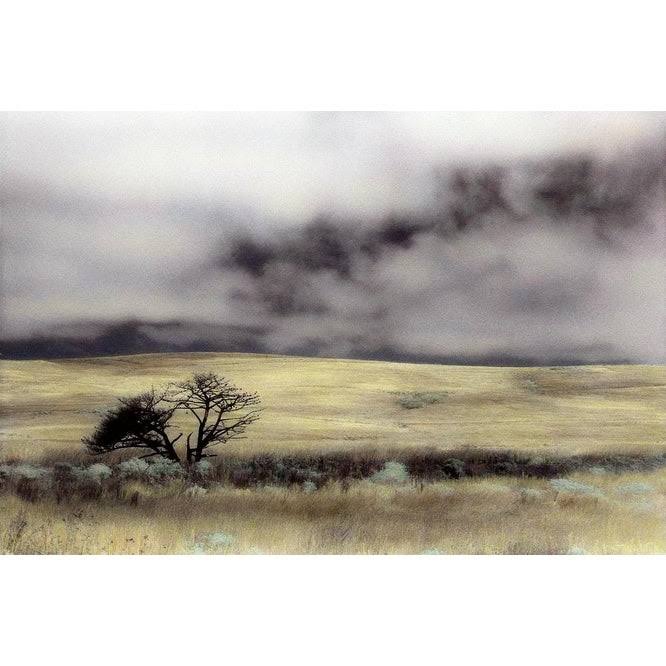 Canvas Art 20 x 30 Black Frame X662