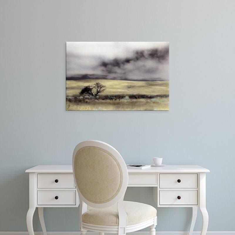 Canvas Art 20 x 30 Black Frame X662