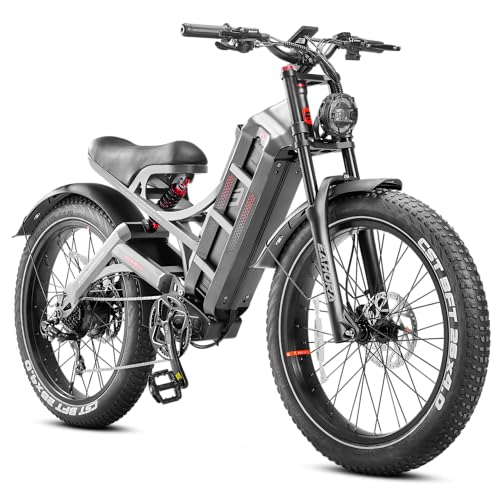 1200W Dual Motor 60Ah Adult Electric Bike with Fat Tire I2009