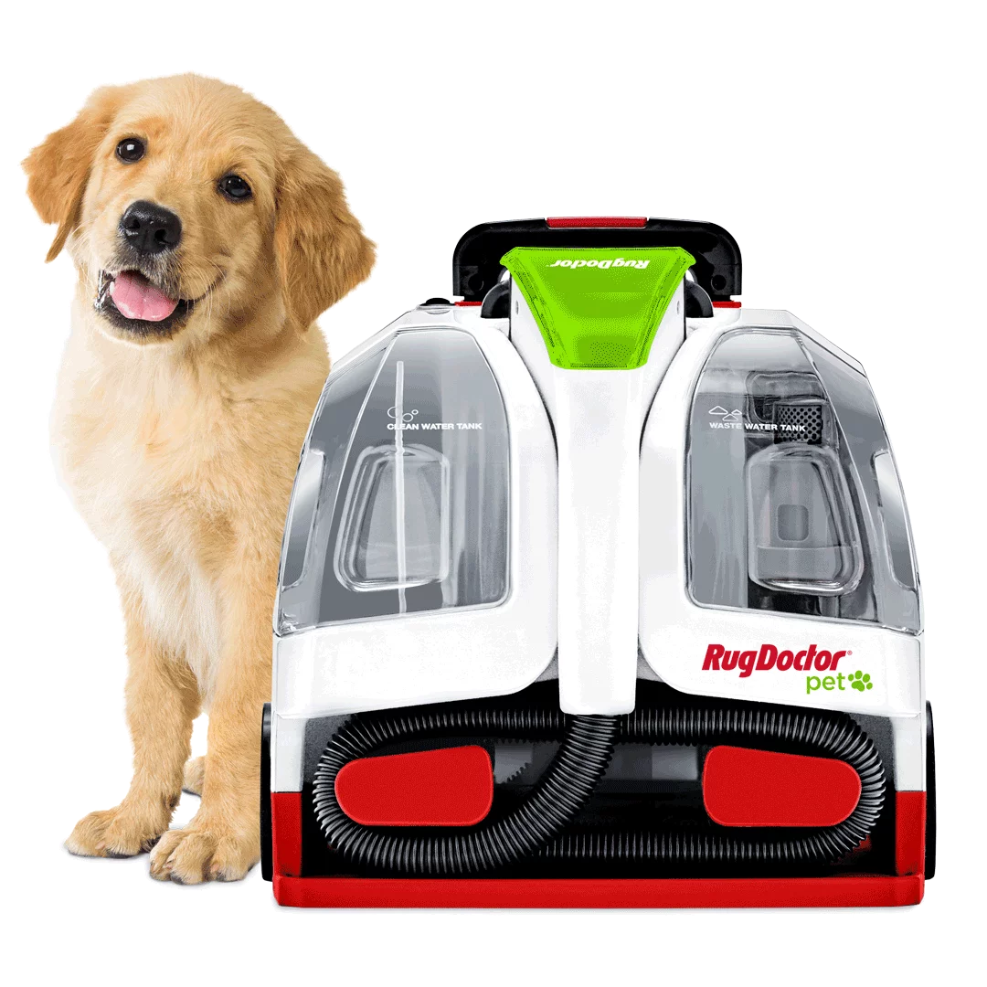 Portable Spot Carpet Cleaner R71438