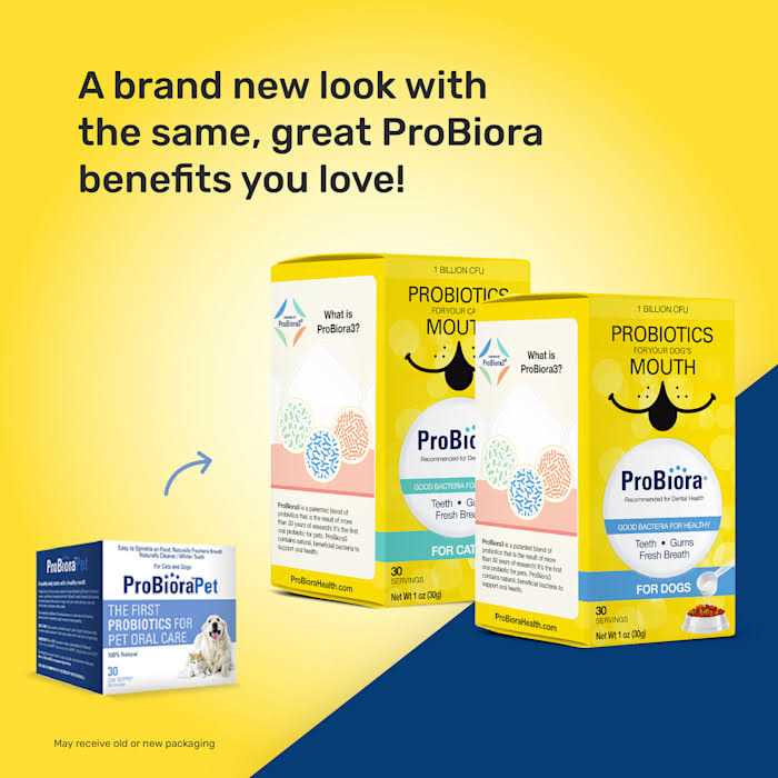 Probiotics for Cats T40099