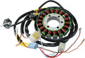 Stator Polaris Pack of 2 Z838