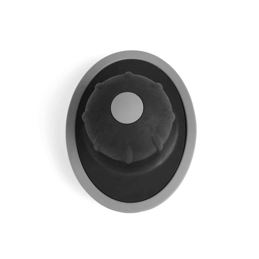Curry Shampoo Dispensing Brush for Dogs Q6233