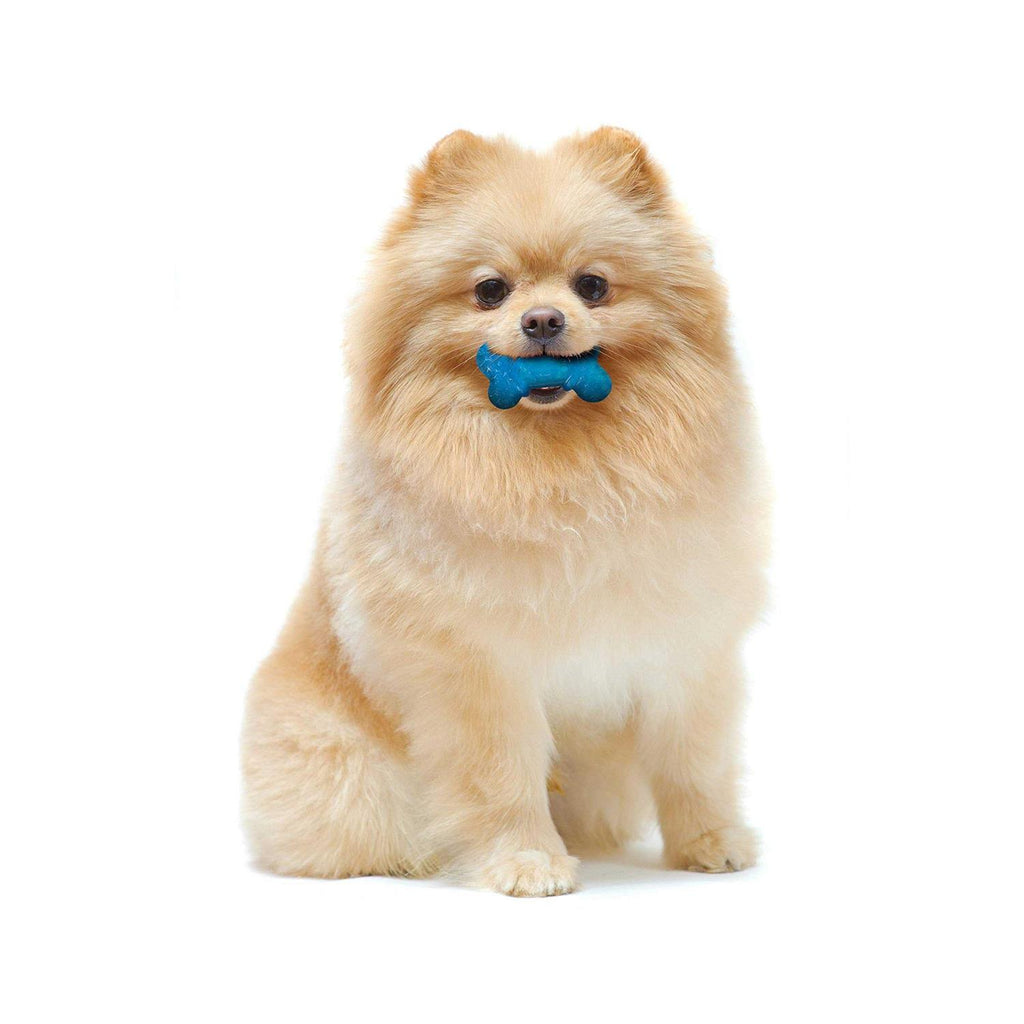 Bacon & Peanut Butter Flavor Chew Bone C479