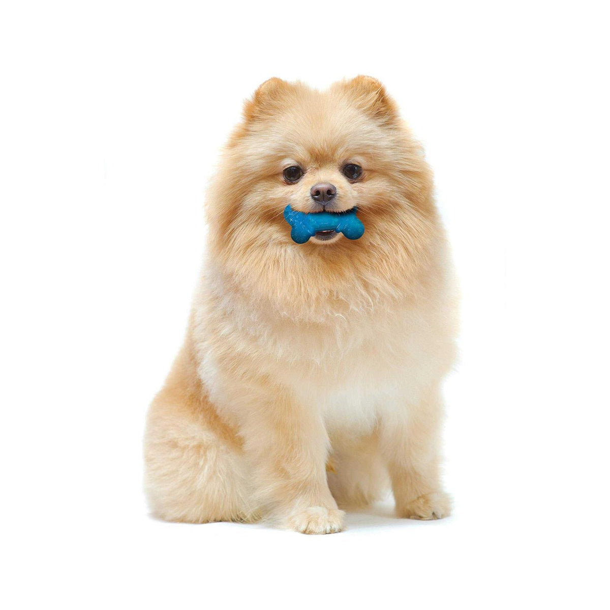 Bacon & Peanut Butter Flavor Chew Bone C479