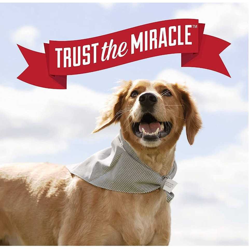 Deodorizing Bath Wipes for Dogs A841859