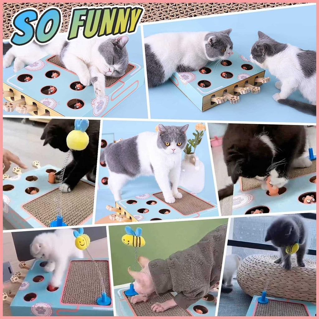Cat Enrichment Toys with Cat Scratching Pad N34508
