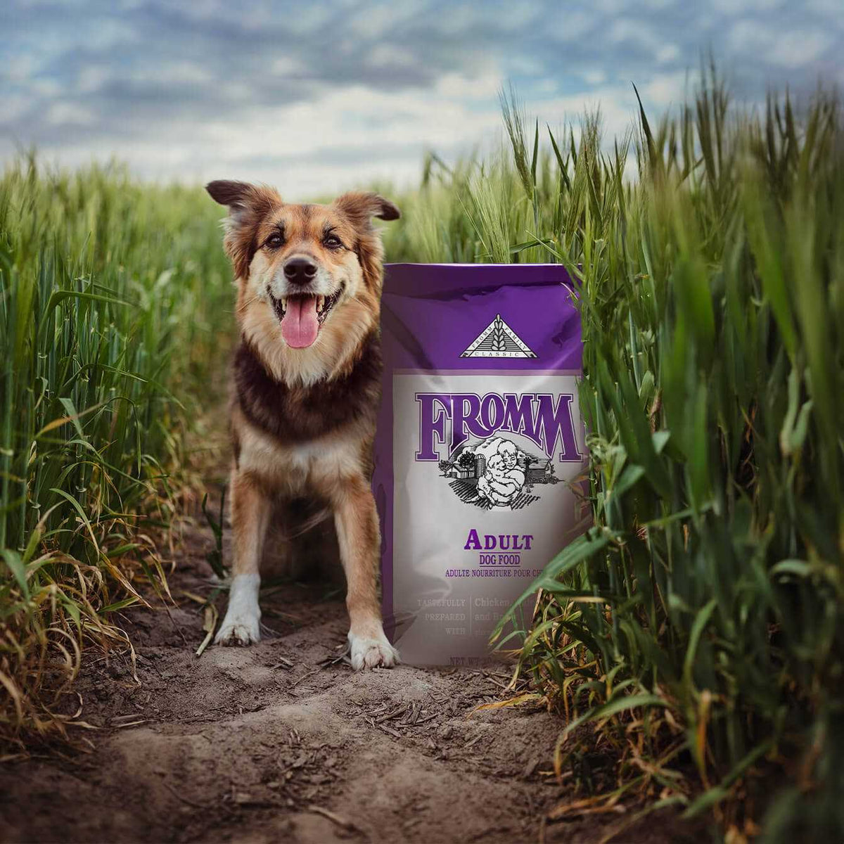 Adult Dog Food N86201